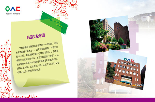 韩国又送大学