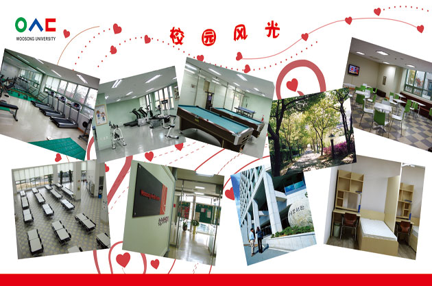 韩国又送大学