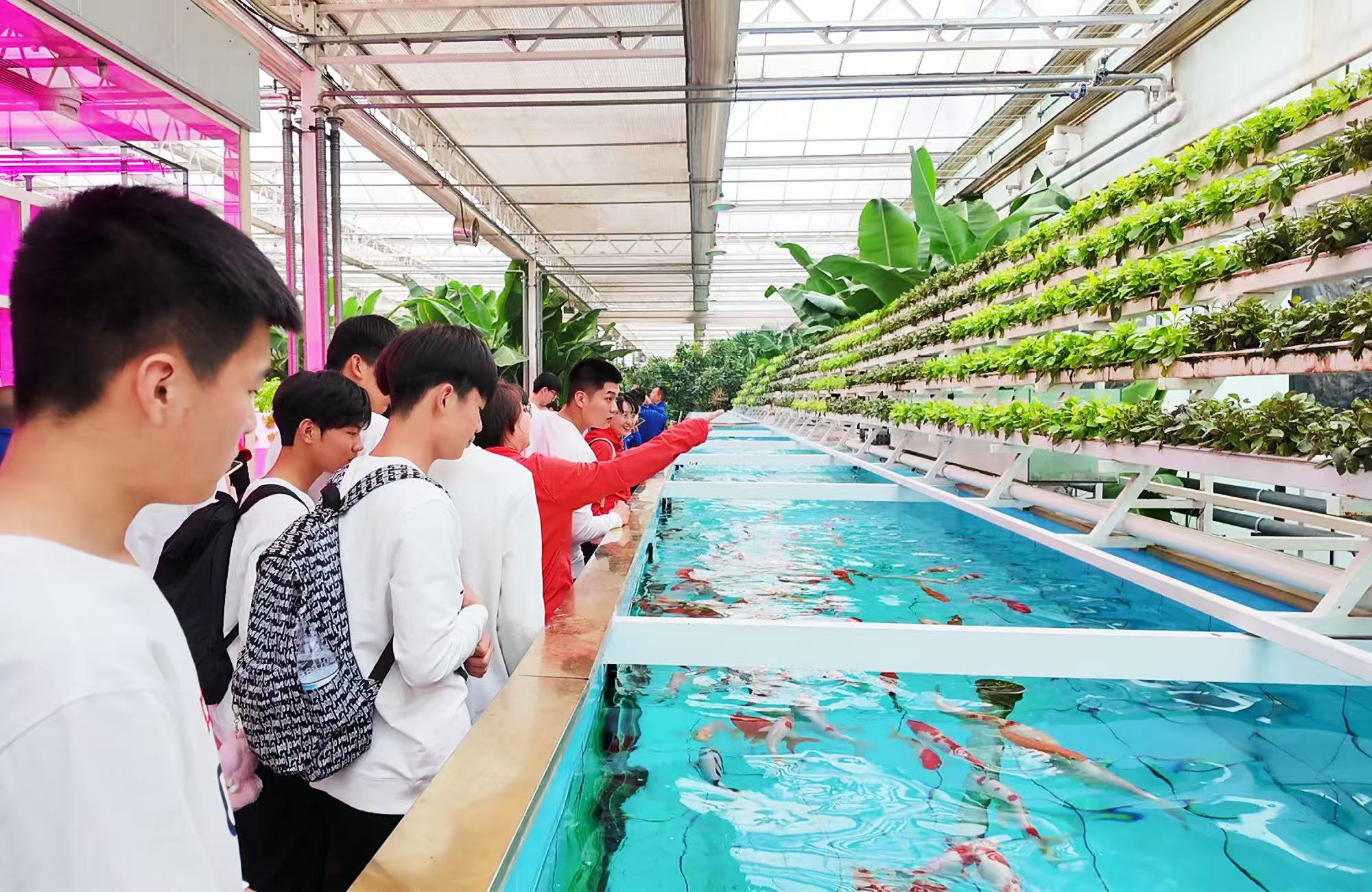 1763621429561040373.jpg 2.jpg